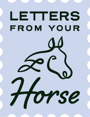 Letters from your Horse Logo